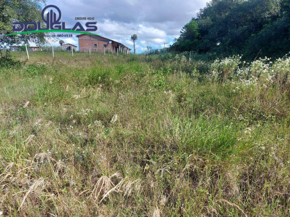 Imagem Terreno à Venda, 1.000 m² em Viamão Imagem Terreno à Venda, 1.000 m² em Viamão