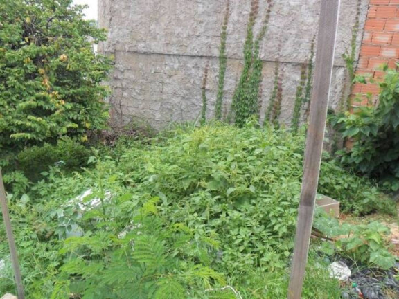 Imagem Terreno à Venda, 100 m² em Jardim América - Belo Horizonte