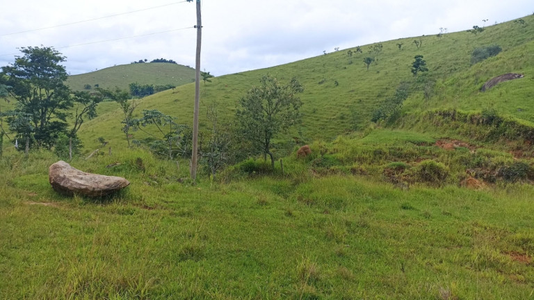 Imagem Fazenda à Venda, 300 m² em Bairro Da Pernambucana - São José Dos Campos