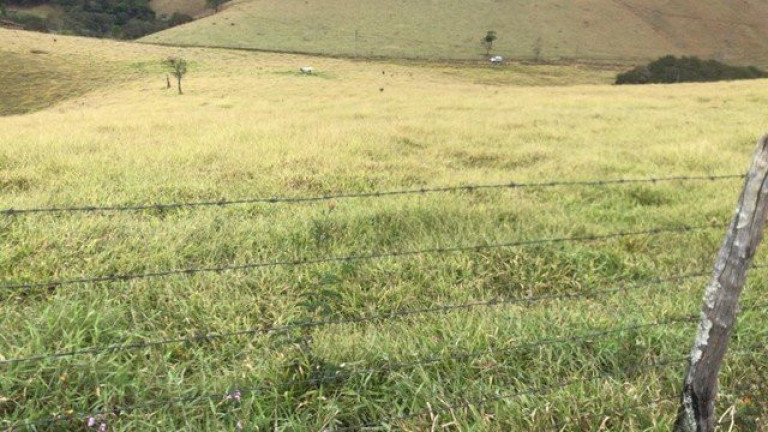 Imagem Fazenda à Venda, 5.000 m² em Cunha Imagem Fazenda à Venda, 5.000 m² em Cunha