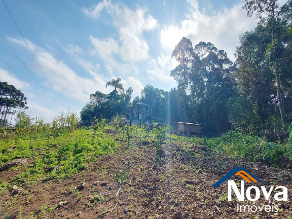Imagem Imóvel à Venda, 32.549 m² em Linha Olinda - Nova Petrópolis