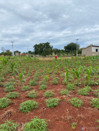Imagem Terreno à Venda, 2.000 m² em Sobradinho - Patos De Minas Imagem Terreno à Venda, 2.000 m² em Sobradinho - Patos De Minas