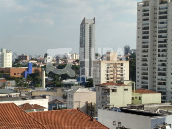 Imagem Casa com 2 Quartos à Venda, 38 m² em Parada Inglesa - São Paulo Imagem Casa com 2 Quartos à Venda, 38 m² em Parada Inglesa - São Paulo