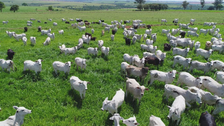 Imagem Fazenda à Venda, 632 m² em Rural - Echaporã Imagem Fazenda à Venda, 632 m² em Rural - Echaporã