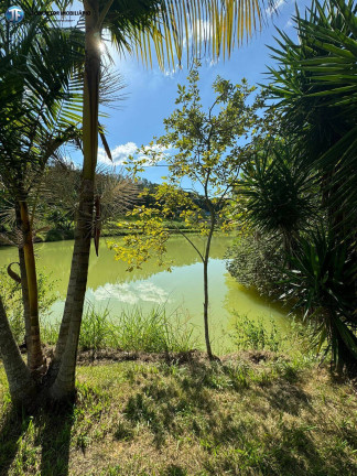 Imagem Chácara com 6 Quartos à Venda, 55.000 m² em Belo Oriente