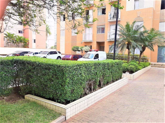 Imagem Apartamento com 2 Quartos à Venda, 48 m² em Cambuci - São Paulo