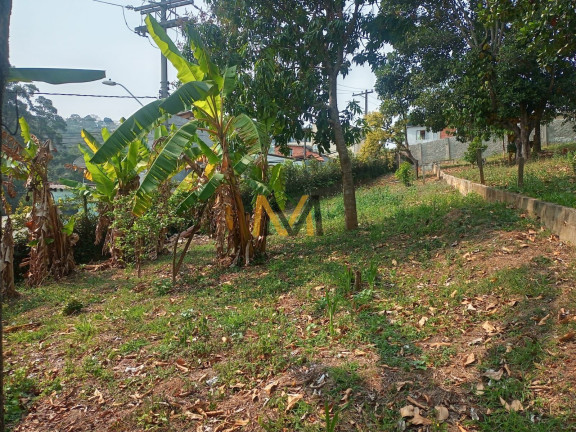 Imagem Imóvel com 3 Quartos à Venda, 3.800 m² em Capoavinha - Mairiporã