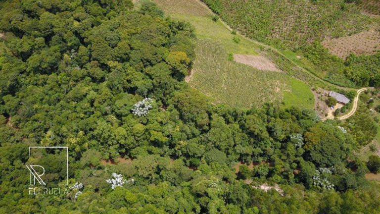 Imagem Chácara com 3 Quartos à Venda, 30.000 m² em Boa Esperança - Marechal Floriano