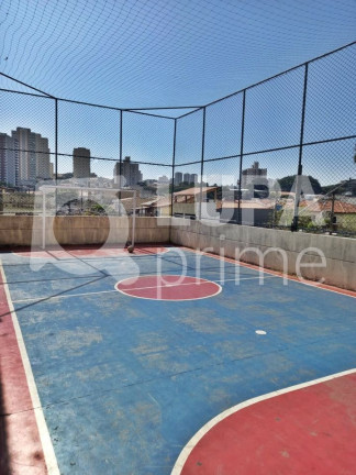 Imagem Apartamento com 3 Quartos à Venda, 64 m² em Vila Guilherme - São Paulo