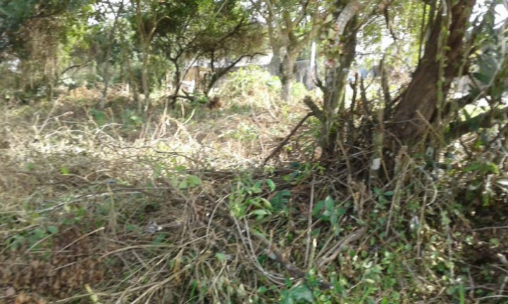 Imagem Terreno à Venda, 847 m² em Jd. Umuarama - Itanhaém Imagem Terreno à Venda, 847 m² em Jd. Umuarama - Itanhaém