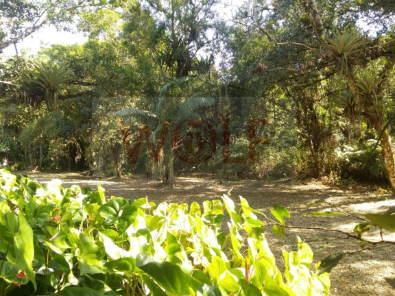 Imagem Terreno à Venda, 12.904 m² em Saiva - Antonina Imagem Terreno à Venda, 12.904 m² em Saiva - Antonina