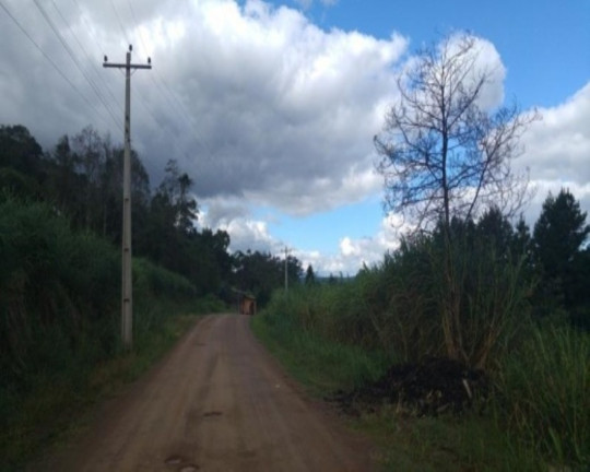 Imagem Terreno à Venda, 2.779 m² em Pinhal Alto - Nova Petrópolis Imagem Terreno à Venda, 2.779 m² em Pinhal Alto - Nova Petrópolis