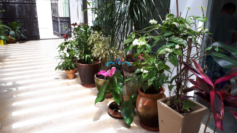 Imagem Apartamento com 2 Quartos à Venda, 87 m² em Vila Mariana - São Paulo