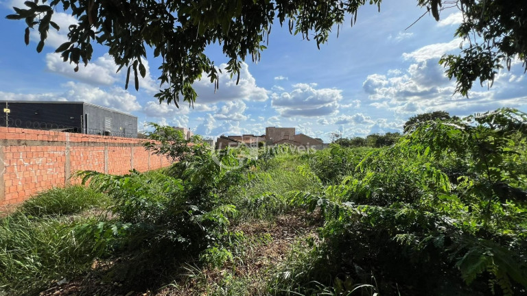 Imagem Terreno à Venda, 510 m² em Parque Residencial Rita Vieira - Campo Grande Imagem Terreno à Venda, 510 m² em Parque Residencial Rita Vieira - Campo Grande