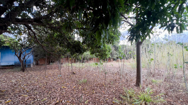 Imagem Terreno à Venda, 3.000 m² em Mansões Bittencourt - Santo Antônio Do Descoberto Imagem Terreno à Venda, 3.000 m² em Mansões Bittencourt - Santo Antônio Do Descoberto