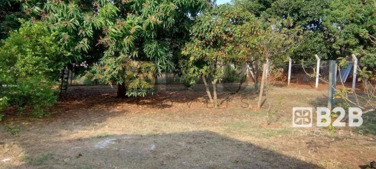 Imagem Chácara com 2 Quartos à Venda, 175 m² em Arealva - Arealva Imagem Chácara com 2 Quartos à Venda, 175 m² em Arealva - Arealva