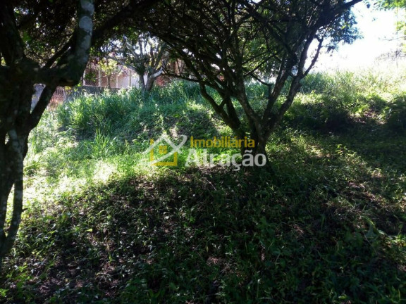 Imagem Terreno à Venda, 3.360 m² em Vila São Francisco - Suzano Imagem Terreno à Venda, 3.360 m² em Vila São Francisco - Suzano