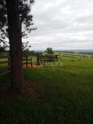 Imóvel à Venda, 2.671.600 m² em Pompeia - Pompeia
