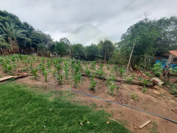 Imagem Chácara com 3 Quartos à Venda, 900 m² em Nova Califórnia Ii (rubião Junior) - Botucatu