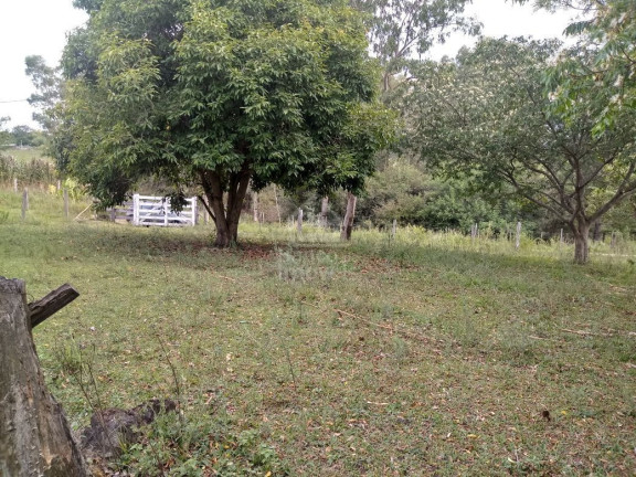 Imagem Terreno à Venda, 5.000 m² em Boi Morto - Santa Maria Imagem Terreno à Venda, 5.000 m² em Boi Morto - Santa Maria