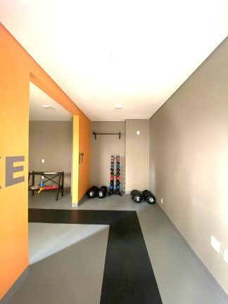 Imagem Apartamento com 2 Quartos para Alugar,  em Vila Ivone - São Paulo
