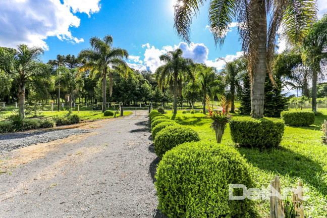 Imagem Chácara com 3 Quartos à Venda, 155 m² em Fazendinha - Rio Negro