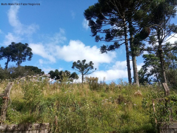 Imagem Terreno à Venda, 1.051 m² em Vila Germânia - Nova Petrópolis Imagem Terreno à Venda, 1.051 m² em Vila Germânia - Nova Petrópolis