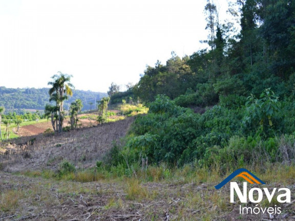 Imagem Imóvel à Venda, em Pinhal Alto - Nova Petrópolis Imagem Imóvel à Venda, em Pinhal Alto - Nova Petrópolis