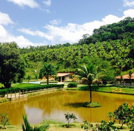 Imagem Chácara com 4 Quartos à Venda, 60.000 m²