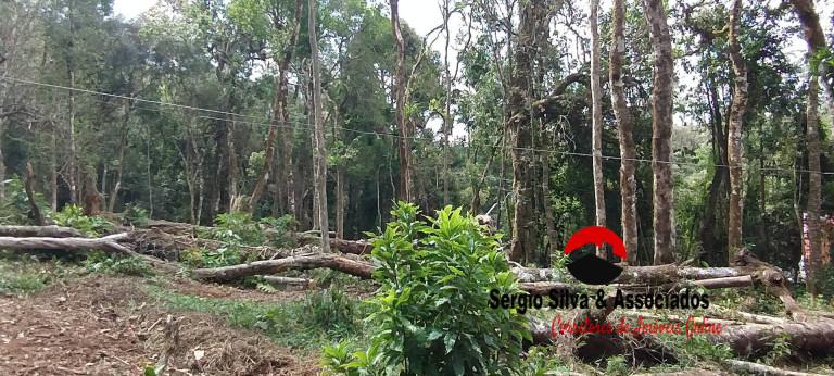 Imagem Terreno à Venda, 1.940 m² em Nova Capivari - Campos Do Jordão Imagem Terreno à Venda, 1.940 m² em Nova Capivari - Campos Do Jordão