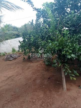 Imagem Fazenda à Venda, em Tiquaruçu - Feira De Santana Imagem Fazenda à Venda, em Tiquaruçu - Feira De Santana