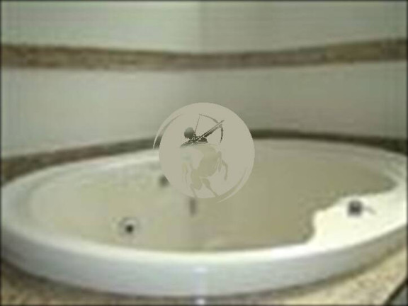 Imagem Cobertura com 4 Quartos à Venda, 400 m² em Gonzaga - Santos