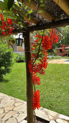 Imagem Chácara com 5 Quartos à Venda, 10 m² em Cachoeirinha - Aragoiânia