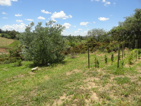 Imagem Terreno para Alugar ou Temporada, 5.003 m² em Residencial São Domingos - Jundiaí Imagem Terreno para Alugar ou Temporada, 5.003 m² em Residencial São Domingos - Jundiaí