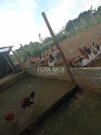Imagem Fazenda à Venda, em Tiquaruçu - Feira De Santana Imagem Fazenda à Venda, em Tiquaruçu - Feira De Santana