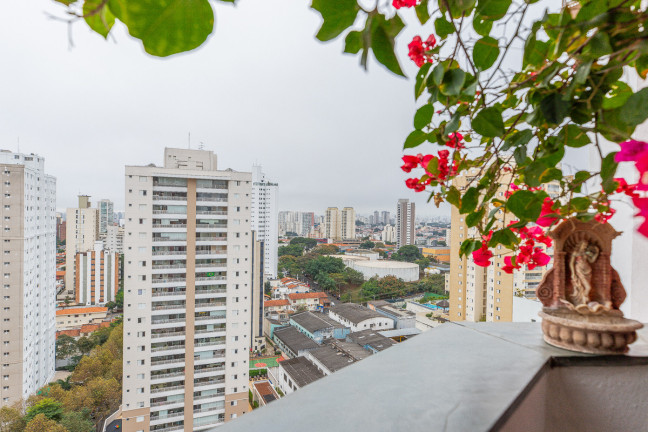Imagem Apartamento com 3 Quartos à Venda, 92 m² em Vila Mascote - São Paulo