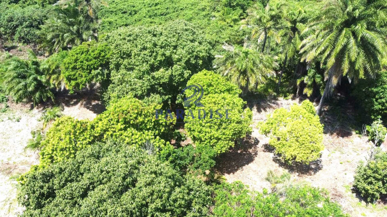 Imagem Terreno à Venda, 1.800 m² em Itacimirim - Camaçari