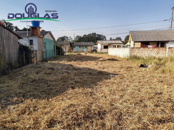 Imagem Terreno à Venda, em águas Claras - Viamão Imagem Terreno à Venda, em águas Claras - Viamão