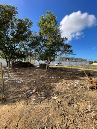 Terreno à Venda, 200 m² em Colina De Laranjeiras - Serra