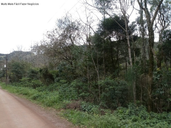 Terreno à Venda,  em Linha Pirajá - Nova Petrópolis