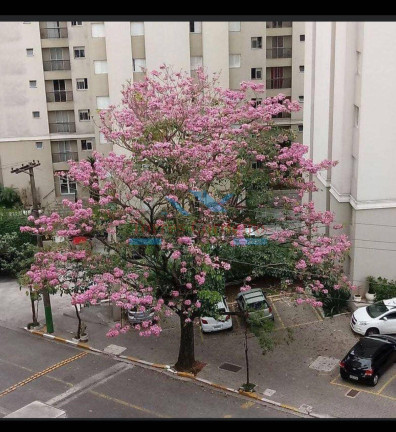 Imagem Apartamento com 2 Quartos à Venda, 51 m² em Vila Das Belezas - São Paulo Imagem Apartamento com 2 Quartos à Venda, 51 m² em Vila Das Belezas - São Paulo