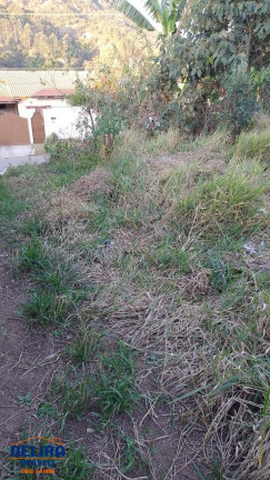 Imagem Terreno à Venda, 285 m² em Corumbá (terra Preta) - Mairiporã Imagem Terreno à Venda, 285 m² em Corumbá (terra Preta) - Mairiporã