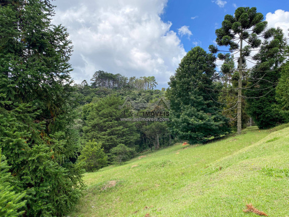 Imagem Terreno em Condomínio à Venda, 1 m² em Alto Capivari - Campos Do Jordão Imagem Terreno em Condomínio à Venda, 1 m² em Alto Capivari - Campos Do Jordão