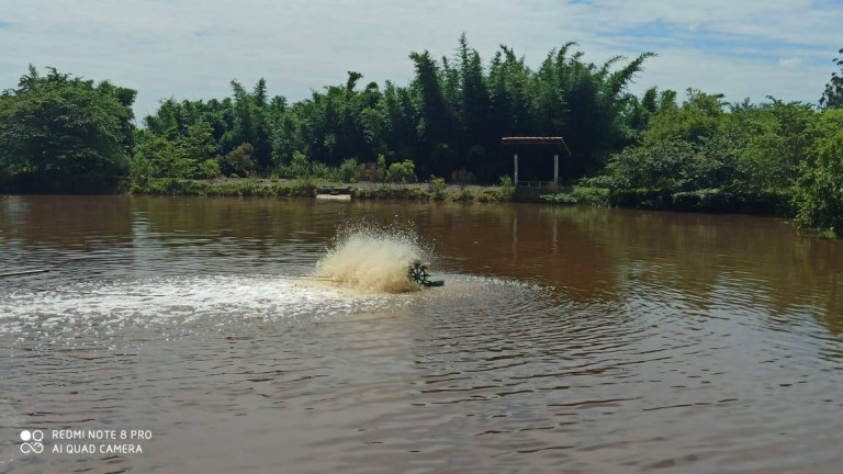 Imagem Fazenda à Venda, 56 m² em Zona De Pecuária - Pilar Do Sul Imagem Fazenda à Venda, 56 m² em Zona De Pecuária - Pilar Do Sul