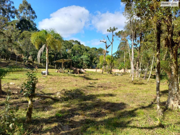 Imagem Chácara à Venda, 8.000 m² em Zona Rural - Quatro Barras Imagem Chácara à Venda, 8.000 m² em Zona Rural - Quatro Barras