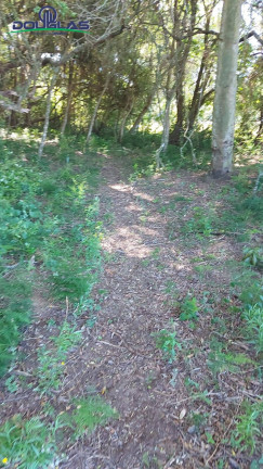 Imagem Terreno à Venda, 2.400 m² em Viamão Imagem Terreno à Venda, 2.400 m² em Viamão