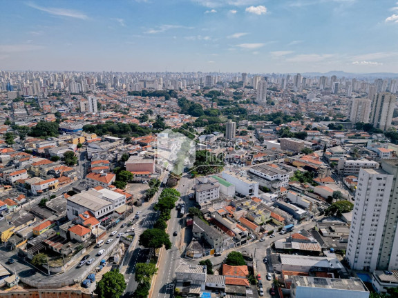 Imagem Terreno à Venda, 333 m² em Vila Invernada - São Paulo Imagem Terreno à Venda, 333 m² em Vila Invernada - São Paulo