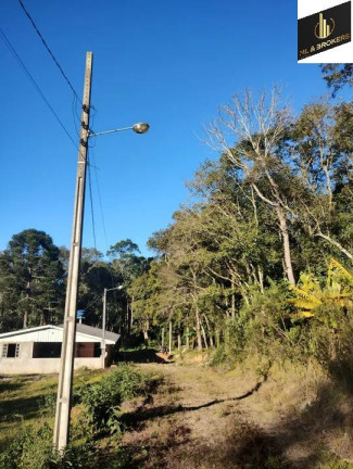 Imagem Imóvel com 4 Quartos à Venda, 29.000 m² em área Rural (areia Branca Dos Assis) - Mandirituba Imagem Imóvel com 4 Quartos à Venda, 29.000 m² em área Rural (areia Branca Dos Assis) - Mandirituba