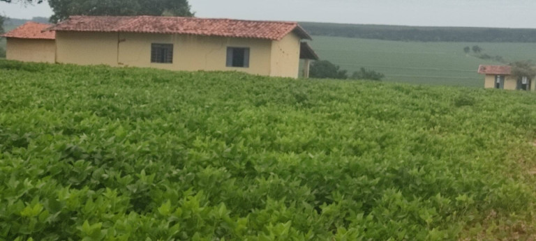 Imagem Chácara com 3 Quartos à Venda, 774 m² em Zona Rural - Alambari