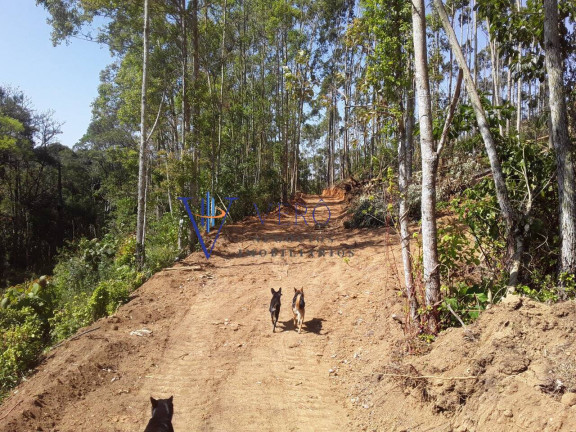 Imagem Chácara à Venda, 1 m² em Ibiúna Imagem Chácara à Venda, 1 m² em Ibiúna